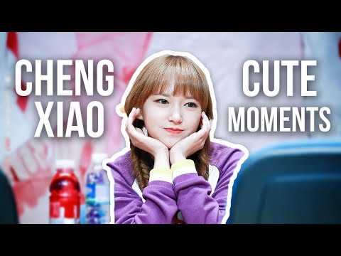 Cheng Xiao Cute Moments