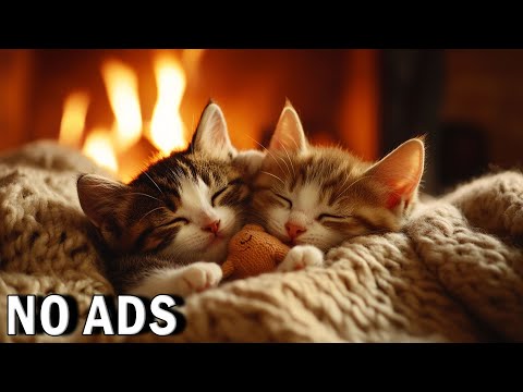 1 Hour of Cat Calming Music | Anti-Separation Anxiety Relief 🎵 Fall Asleep Fast in 3 Minutes