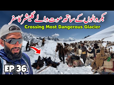 😨 Crossing Most Dangerous Glacier Shounter | Travelling With Bakarwal in Kashmir Episode 36