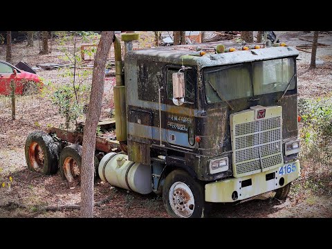 Parked in the woods for 20 years! Can we save this RARE cabover semi truck??