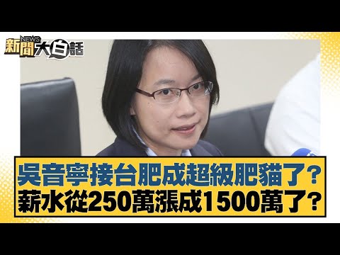 吳音寧接台肥成超級肥貓了？薪水從250萬漲成1500萬了？【#新聞大白話】20251102-9｜#謝寒冰 #李永萍 #毛嘉慶