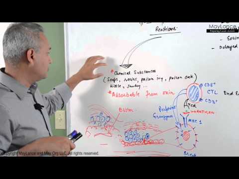 Immunology Lecture 16 - Type IV Hypersensitivity Reactions