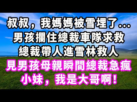 叔叔，我媽媽被雪埋了...男孩攔住總裁車隊求救，總裁帶人進雪林救人，見男孩母親瞬間總裁急瘋：小妹，我是大哥啊！#爽文#大女主#現實情感#家庭