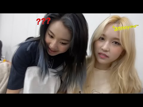 don't put mina and chaeyoung in the same room