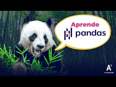 Pandas - Todo lo que necesitas saber 🤓