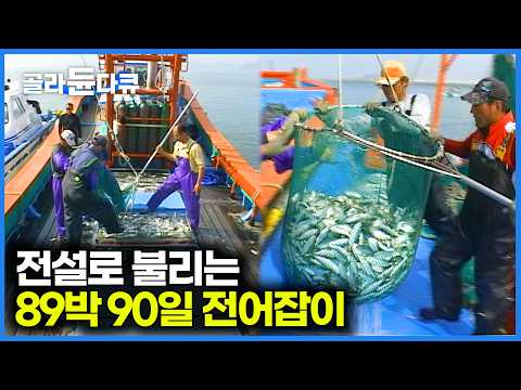 "10톤 잡기전에는 집에 못 들어가요" 금성호 어부들의 90일간 전어잡이 대장정｜서천 홍원항｜다큐인｜#골라듄다큐