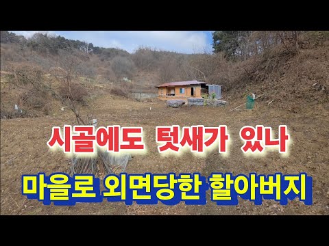 My grandfather has no children and his personality is very sharp.