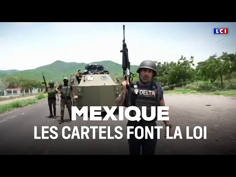 GRAND REPORTAGE - Mexique : les cartels font la loi｜LCI
