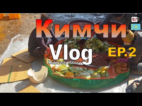 Кимчи жасауға апарар жол | Кореядағы жолда демалатын жер | Корея влог қазақша