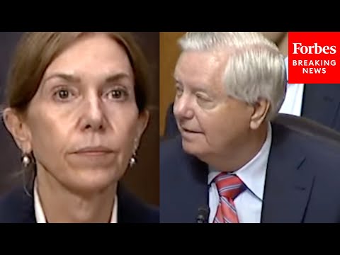 'Oh, Come On!': Lindsey Graham Doesn't Believe Judge Nominee's Answer