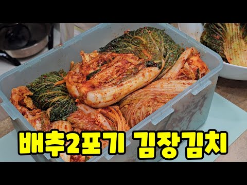 김장 배추김치 두포기 맛있게 담그는법