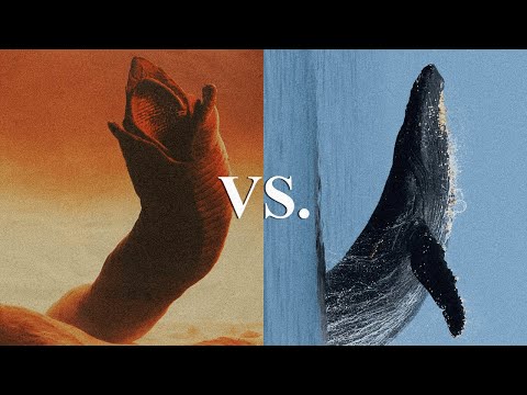 The Sandworm Paradox - Dune