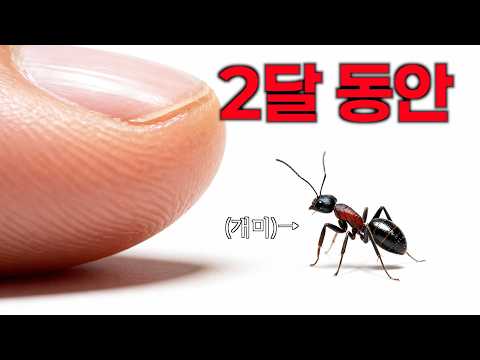 I'll try to create an ecosystem where ants can live