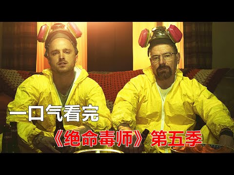 一口气看完高分美剧《绝命毒师》第五季合集 【电影迷小雅】