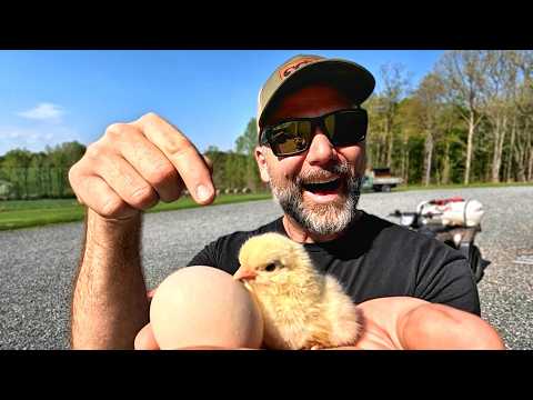 How to Hatch Eggs with an Incubator | Everything you need to know for success!