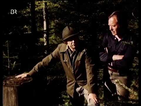 Der Bergwald Teil 2 (1986)