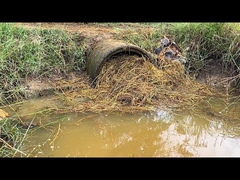 Remove Debris Clogged Culvert - Clean Culvert For Drainage System