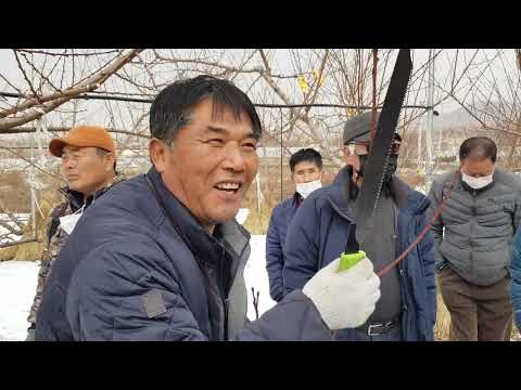 Icheon-si Yulmyeon Farming Class Free Educational Video Janghowon Hwangdo Peach
