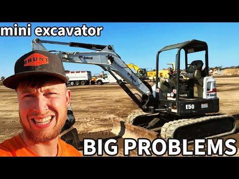 Gambled on a Mini at Auction for Dad, time to fix it up...