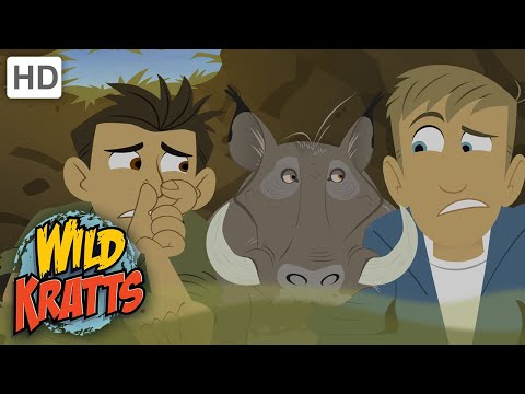 Wild Kratts | Raptor Round Up | Full Episode | Season 1