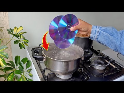 Not everyone knows this secret! Boil CD disc and see what most people don't even imagine happens!