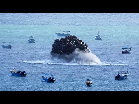 This Has Been Proven For the First Time. The Ocean Doesn't Care About Garbage, It Eats It!