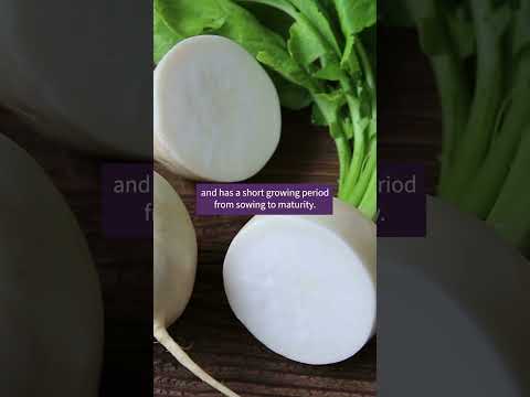 Top 3 Easiest Vegetables to Grow