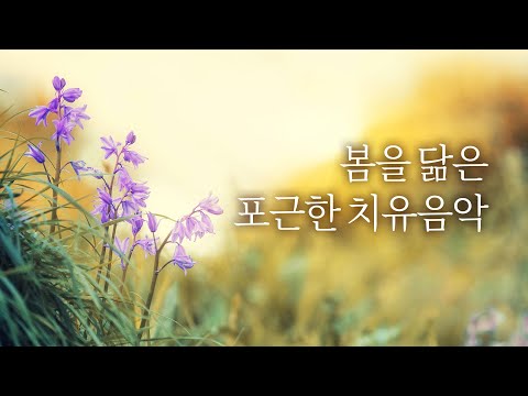 마음이 편안해지는 포근한 치유명상음악 | 5시간, 힐링음악, 새 소리 | Relaxing Music, Healing Music