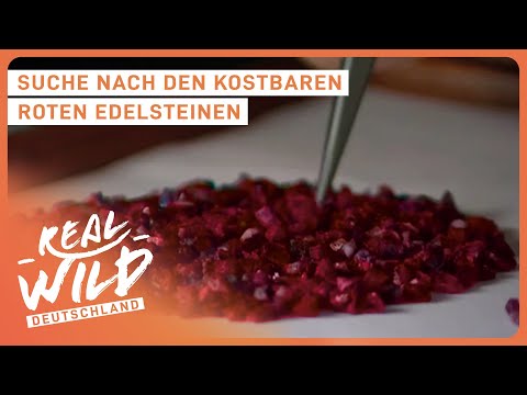 Thailand Doku: Lebensgefährliche Jagd nach Rubinen