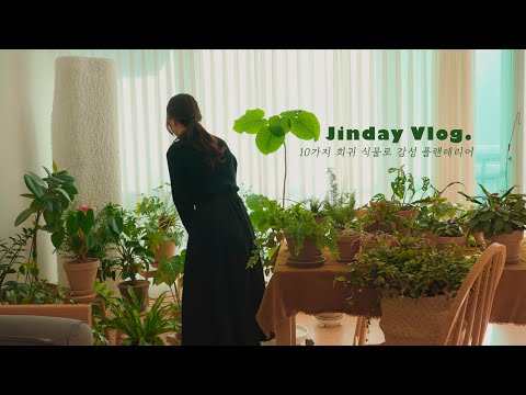 [Vlog] 10 Rare Plants Easy to Grow Even for Beginners / Decorating Your Home with Plants 🌿
