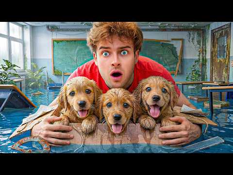 I Found 10 Lost Puppies At School!