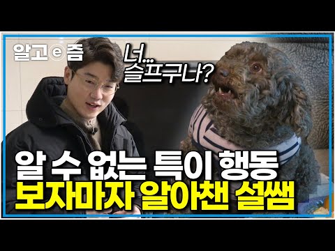 설쌤도 당황한 미스터리 행동… 애교 뒤 숨겨진 강아지의 진짜 속마음｜세상에 나쁜 개는 없다｜알고e즘