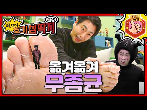 축축하고 더러운 곳을 좋아하는 무좀균이 호떡이 발로 이사를 왔다!ㅣ최고다! 호기심 딱지ㅣ옮겨옮겨 무좀균