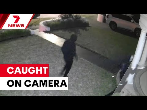 Machete-wielding thugs caught on camera | 7NEWS
