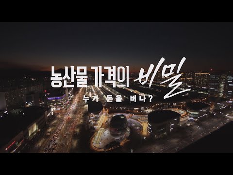 반복되는 농산물 산지 폐기, 유통 구조 문제? 농산물 가격의 비밀-누가 돈을 버나? [풀영상]ㅣ시사기획 창 311회 (2020.12.19)