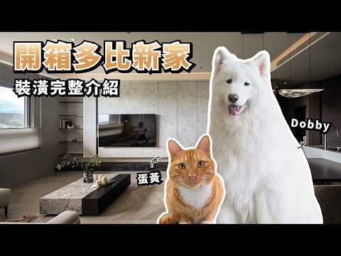 『開箱多比新家！』裝潢完整介紹，兩人一狗一貓的House Tour(薩摩耶多比Dobby is free)
