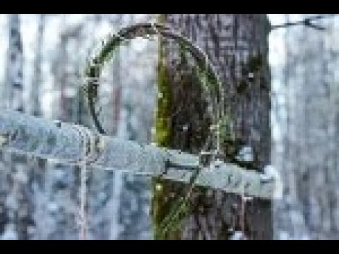 ОХОТА на  РЯБЧИКОВ ПЕТЛЯМИ