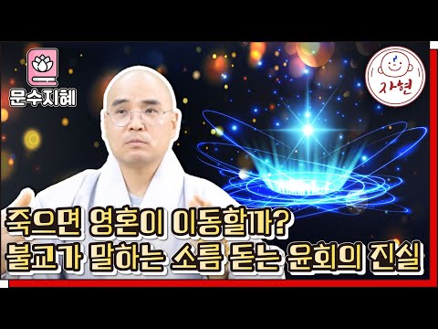 [문수지혜] 내 운명은 정해져 있을까? 영혼 대신 '업'을 믿어야 하는 이유