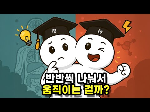 샴쌍둥이는 어떻게 태어나고, 몸 주도권은 누구에게 있을까?
