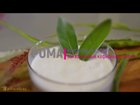 Заквашенный кефирным грибом кокосовый кефир