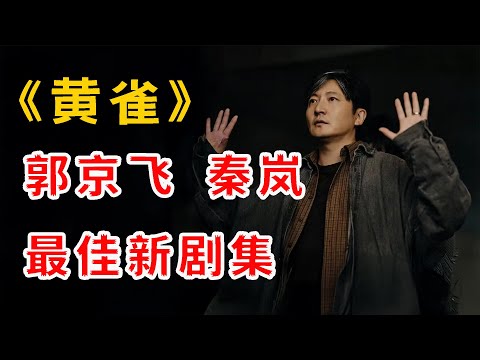 不愧是央视力推！这国产黑马，一集比一集上头！一口气看完郭京飞最新剧《黄雀》全集