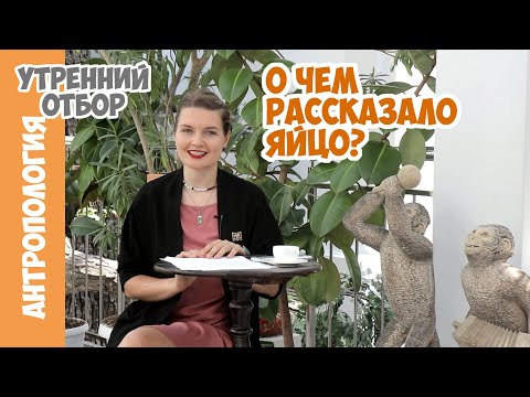 What did ostrich eggs tell us? Elena Sudarikova