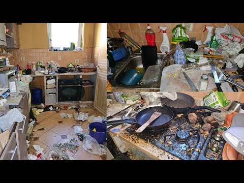 Hungary’s Dirtiest Kitchen? I Cleaned It for Free!