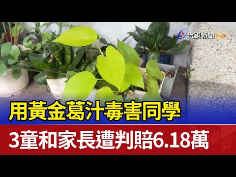 用黃金葛汁毒害同學 3童和家長遭判賠6.18萬
