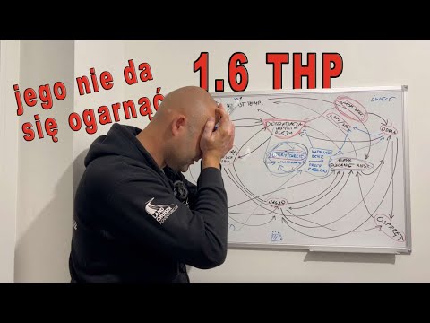 Silnik 1.6 THP i jego PRAWDZIWE PROBLEMY. Jak z nim żyć?
