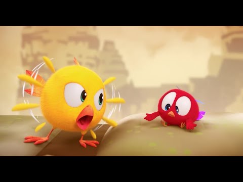 Angry Chicky | Where's Chicky?  | Cartoon Collection in English for Kids | New episodes