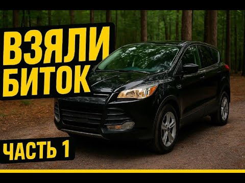 Купили биток за 900$ — что там внутри? (Часть 1)