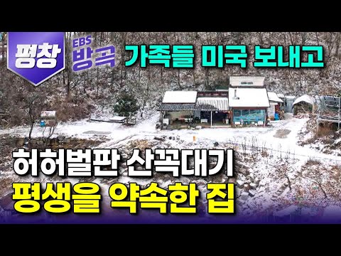 [강원 평창] 빨간 날이면 탈출하기 바빴던 남자가 평생을 약속한 집｜가족들 모두 미국 보내고 40년, 무인도 대신 아무도 없는 산 사서 무릉도원 만든 남자｜#한국기행 #방방곡곡