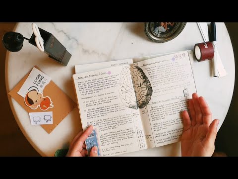 How I built my daily journaling habit~ life in the Hobonichi Avec °~