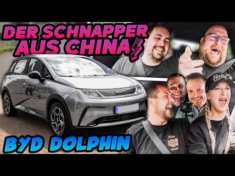 PRAKTISCH und PREISWERT? - BYD Dolphin - Gibt es einen HAKEN?
